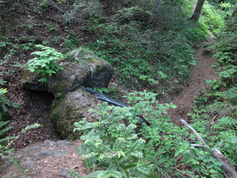 20140517hike (156)